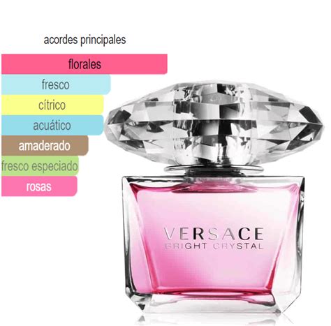 notas de perfume versace